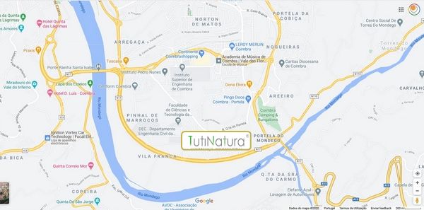 Tutinatura - Coimbra